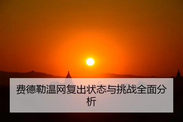 fei-de-lei-wen-wang-fu-chu-zhuang-tai-yu-tiao-zhan-quan-mian-fen-xi-2-921.jpg